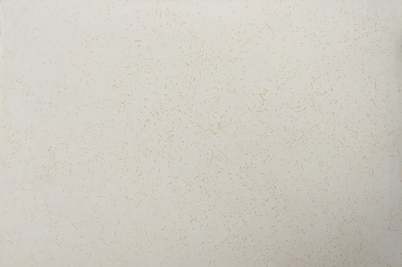 容城金色仙本那