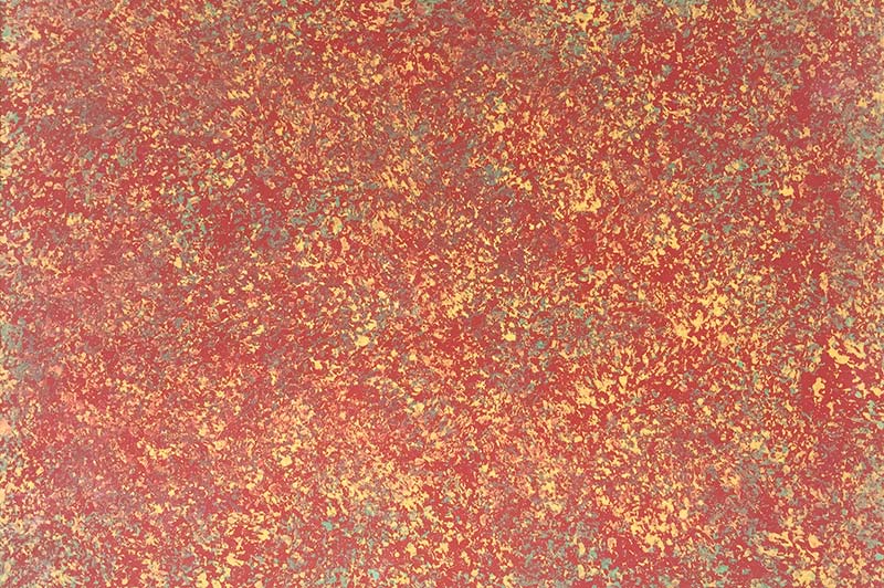 容城东北小棉袄2