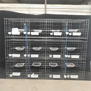 夹江12位肉鸽养殖笼