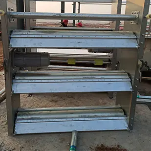 图木舒克鸽笼的喂食器具应如何布局摆放？​