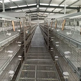 芷江自动化鸽子笼肉鸽笼