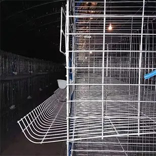 梁河蛋鸽笼双母鸽产蛋笼