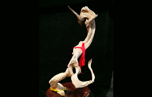 梅县都说崖柏是精品，到底&ldquo;精&rdquo;在何处？