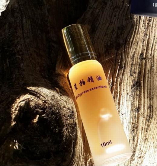 天全崖柏精油的提取过程