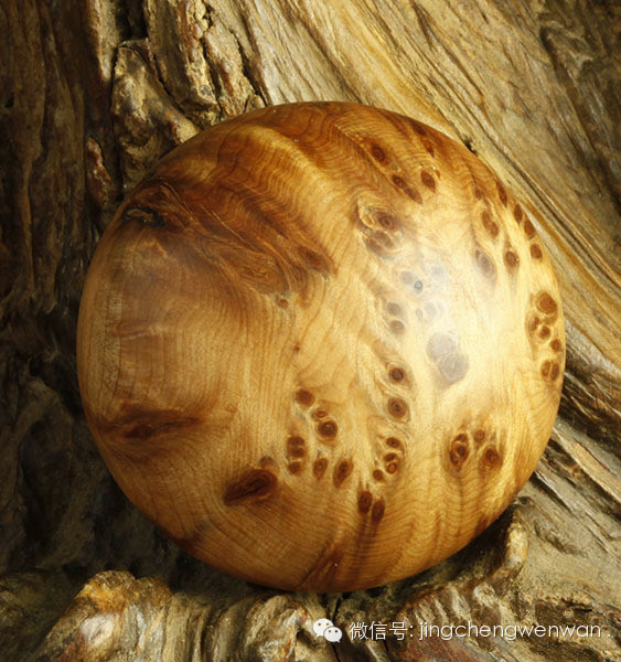 荥阳行业资讯      崖柏的药用价值竟然如此强大！
