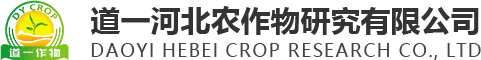 石家庄种业_河北玉米种业 _玉米种业源头_平泉民沣农业科技服务有限公司