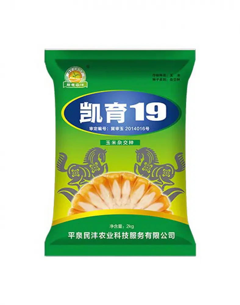 凯育19