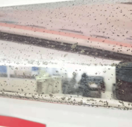 石景山电镀层发黑发暗原因