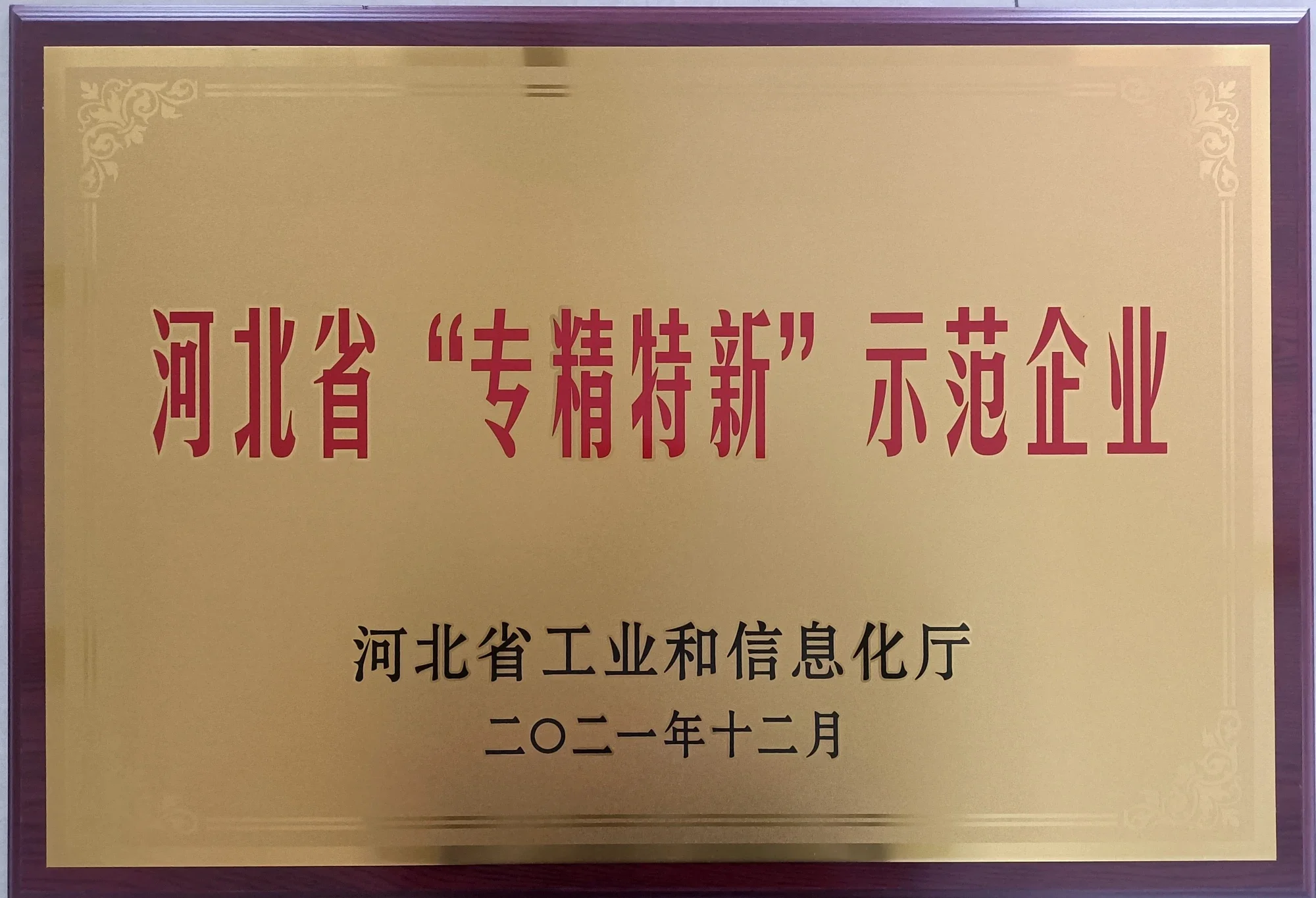 6.专精特新示范企业