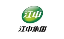 江中集团