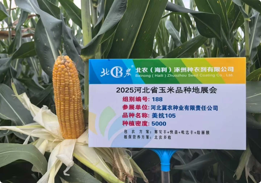 冀农018在2025年河北地展会上大放光彩