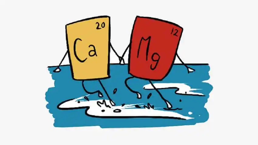 依安解决石家庄水质硬难题，润莱全屋软水系统成家庭必备“护肤品”