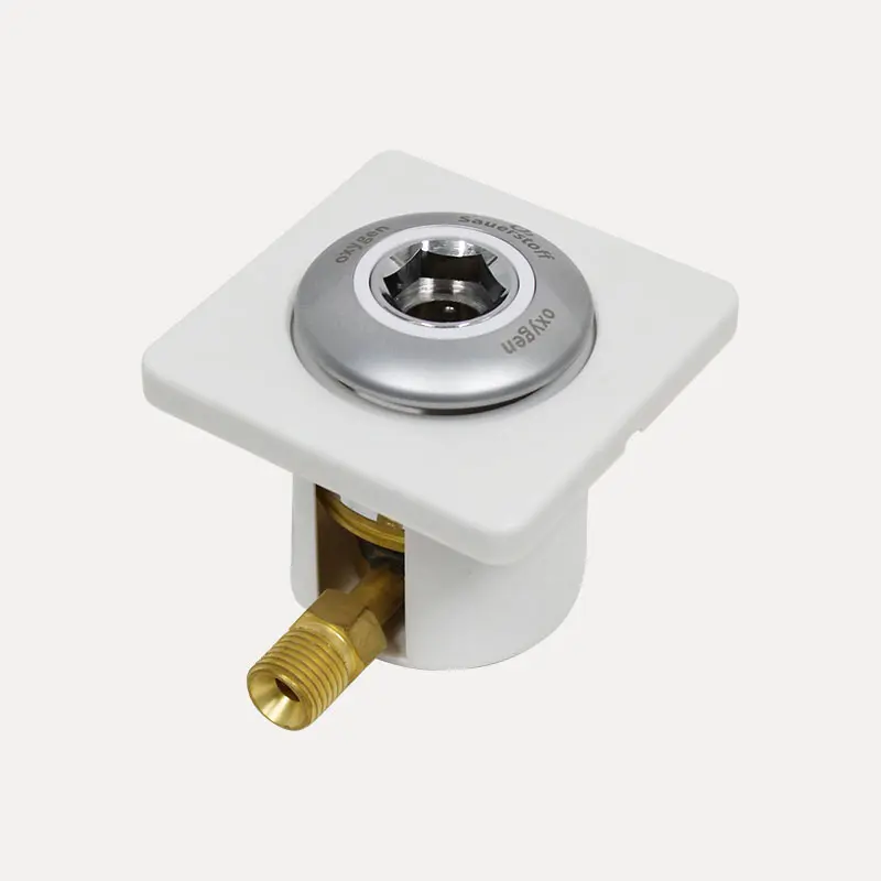 清镇德标终端 SW-QTZD-1FH  氧气