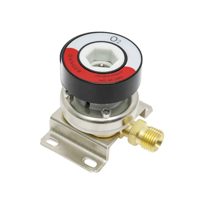 德标终端 SW-QTZD-4型 氧气