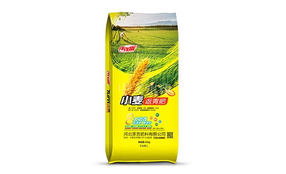 小麦返青肥6 小麦返青肥6