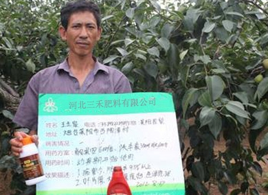 河北复合肥 河北复合肥