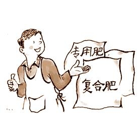 河北复合肥