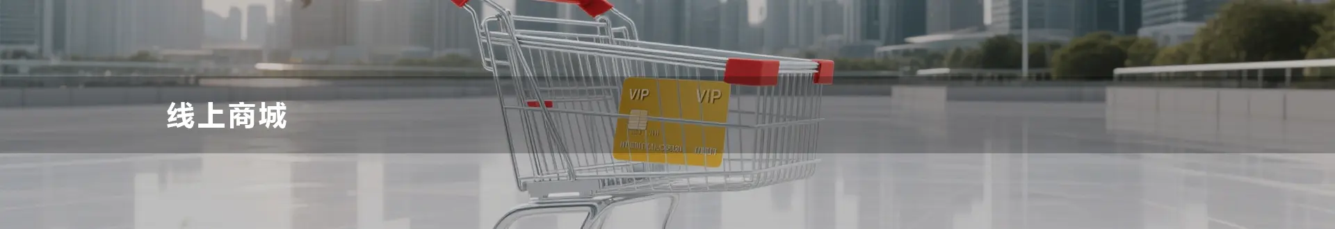 线上商城