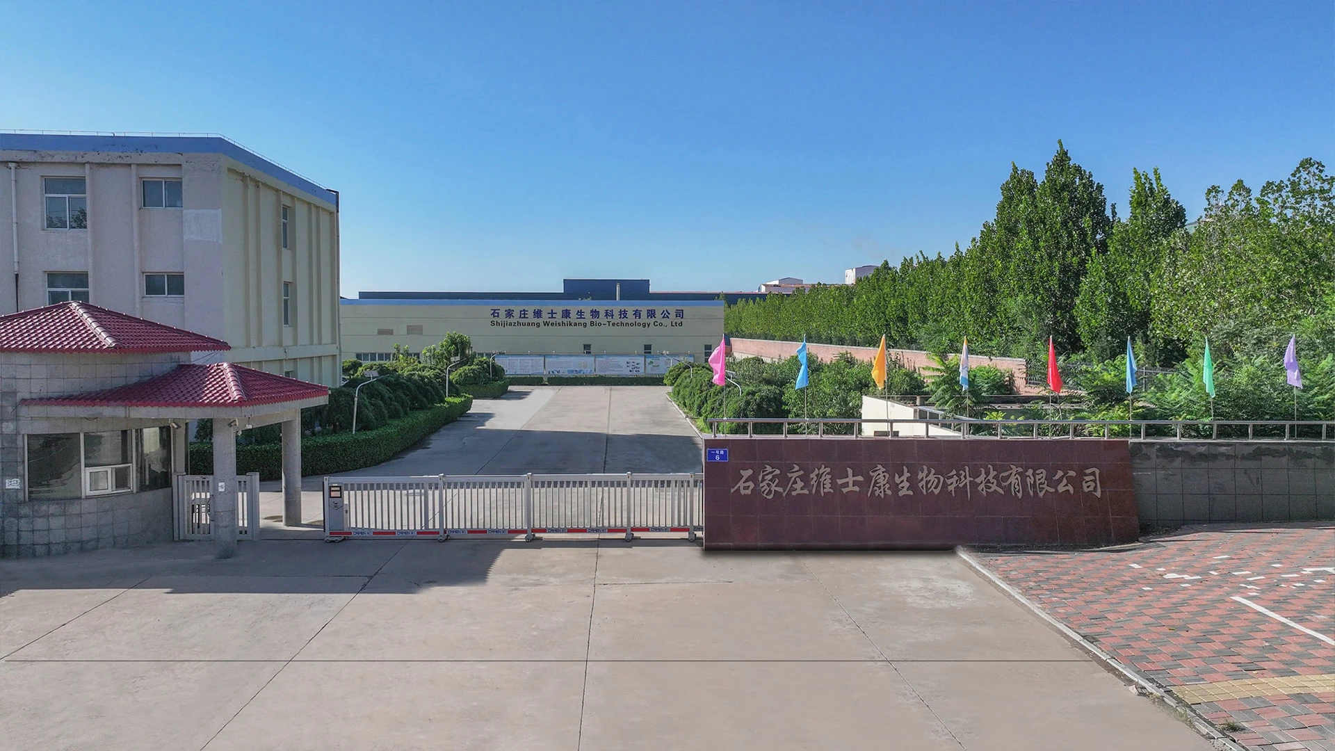 氨糖 ODM 产品运输安排：权责界定、主流模式与合规要点