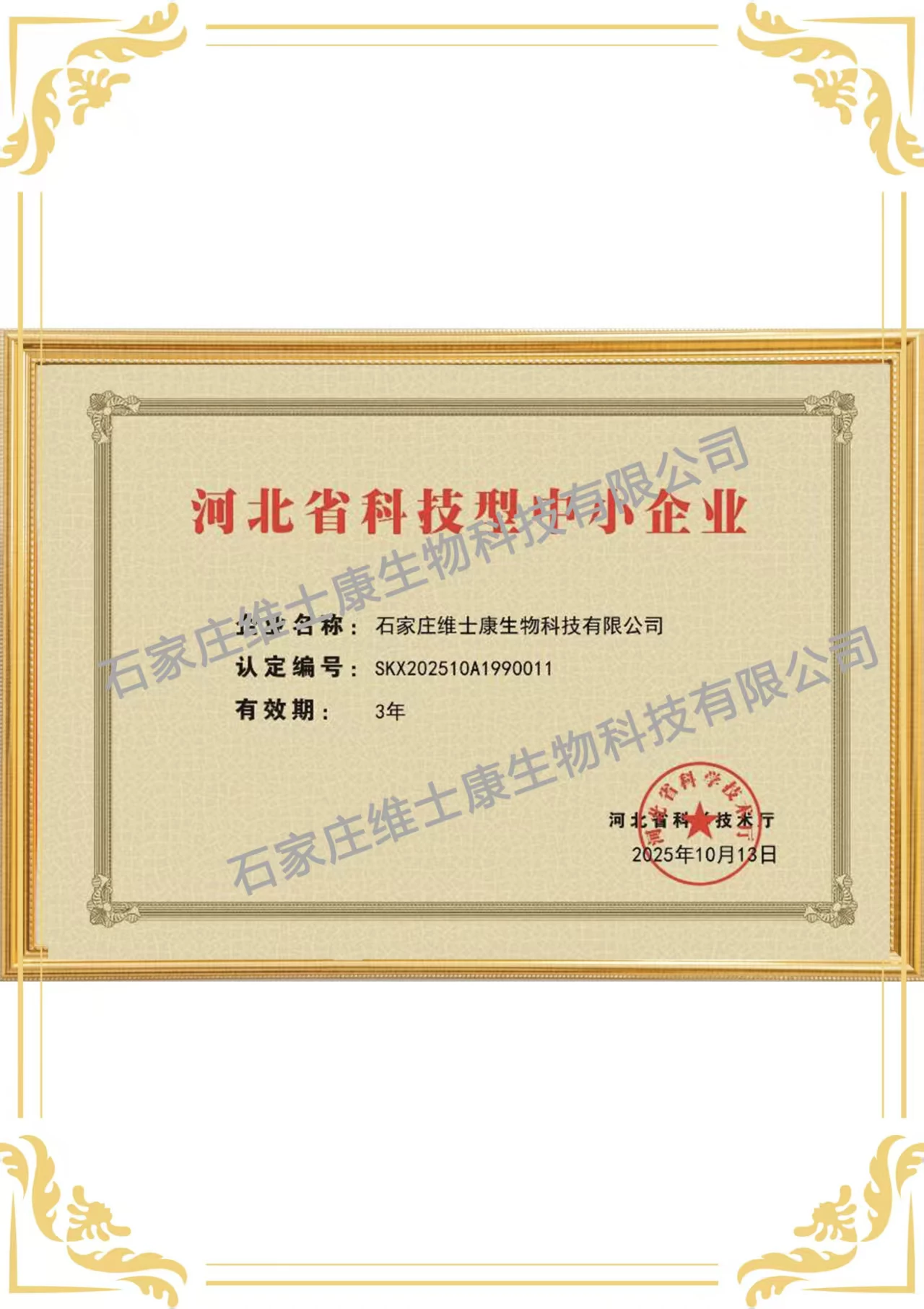 科技型中小企业