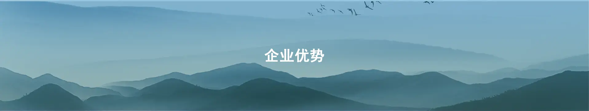 企业优势