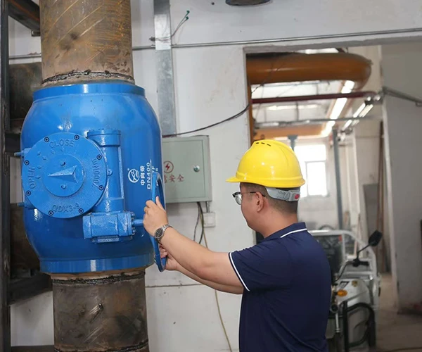 Field Installation Cases